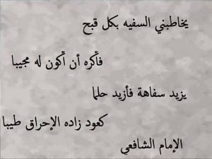 عبارات عن تجاهل السفهاء