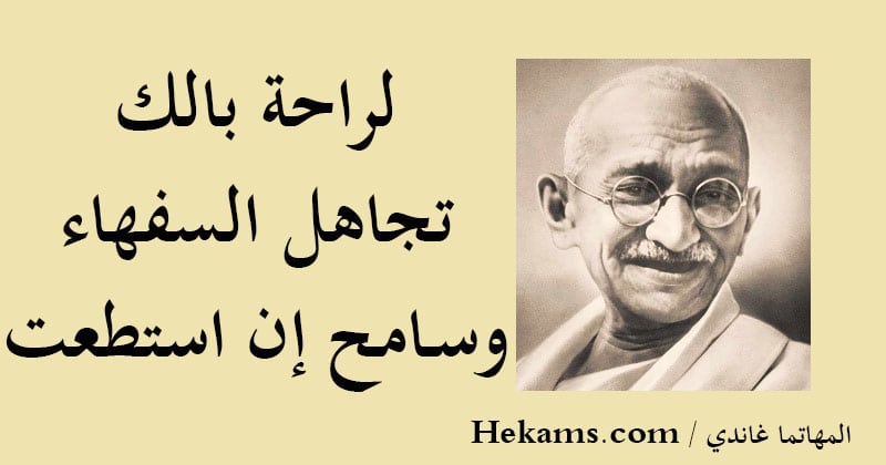 عبارات عن تجاهل السفهاء