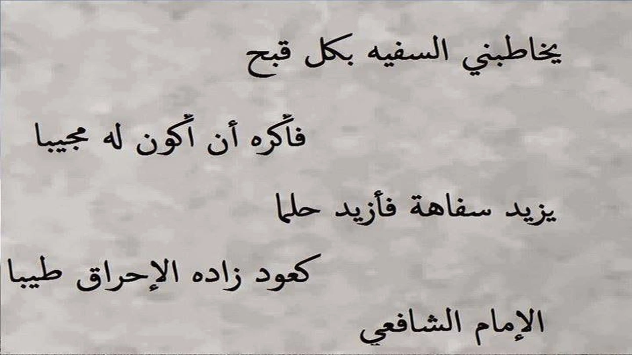 صورة عبارات عن تجاهل السفهاء