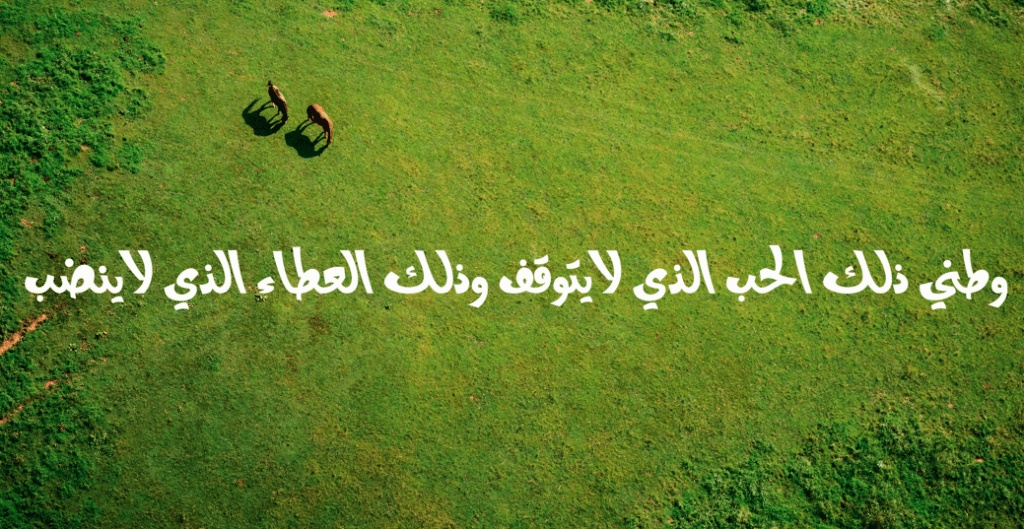 عبارات عن حب الوطن السعودي