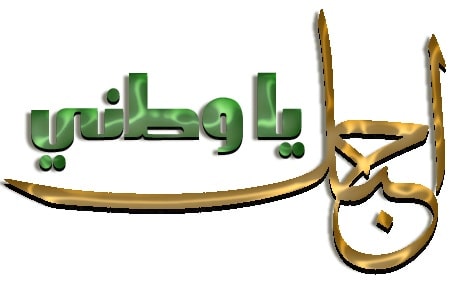 عبارات عن حب الوطن