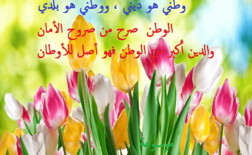 عبارات عن حب الوطن