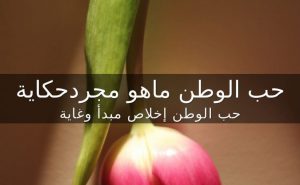 عبارات عن حب الوطن