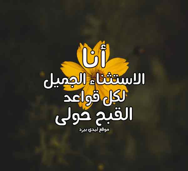 عبارات عن حب ذات