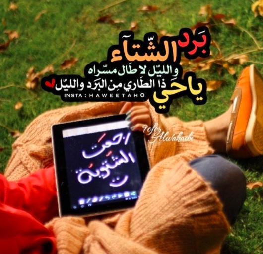 عبارات عن دفء الحب