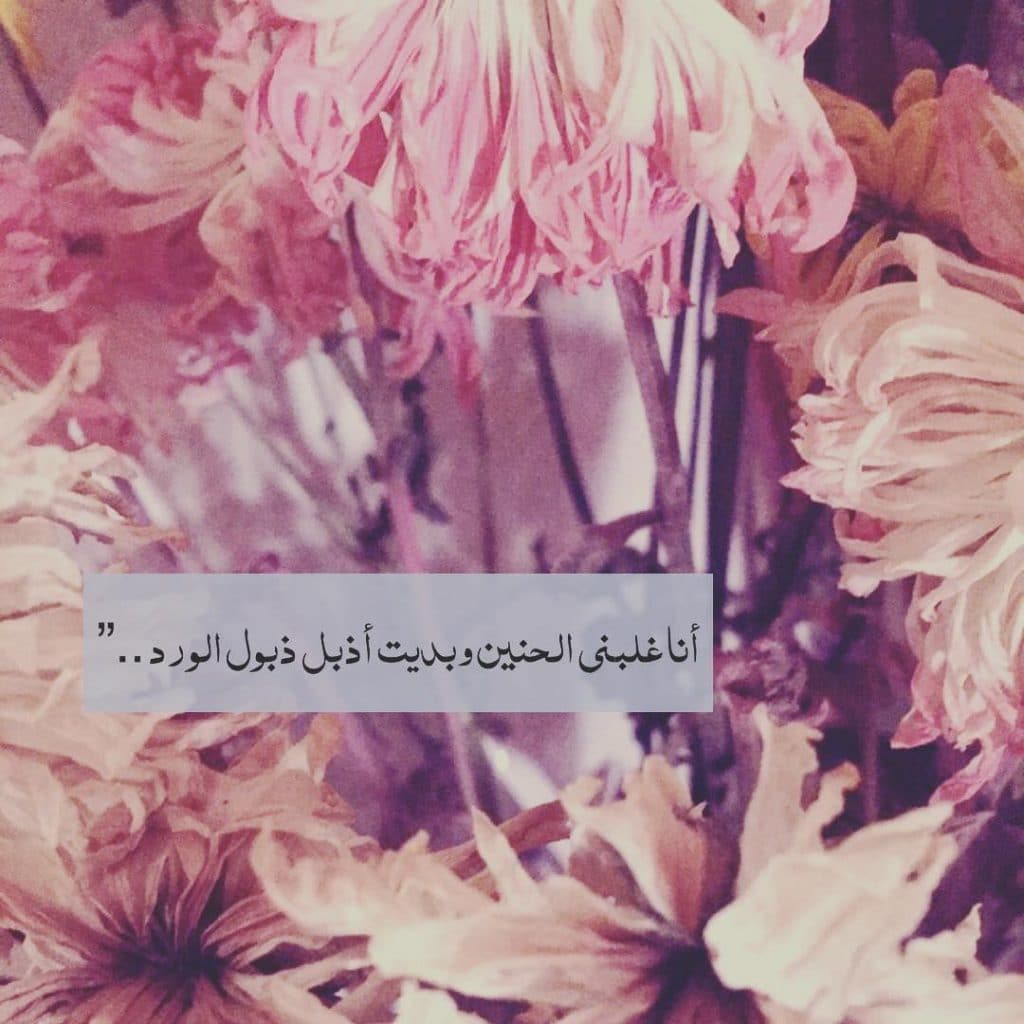 عبارات عن ذبول الورد