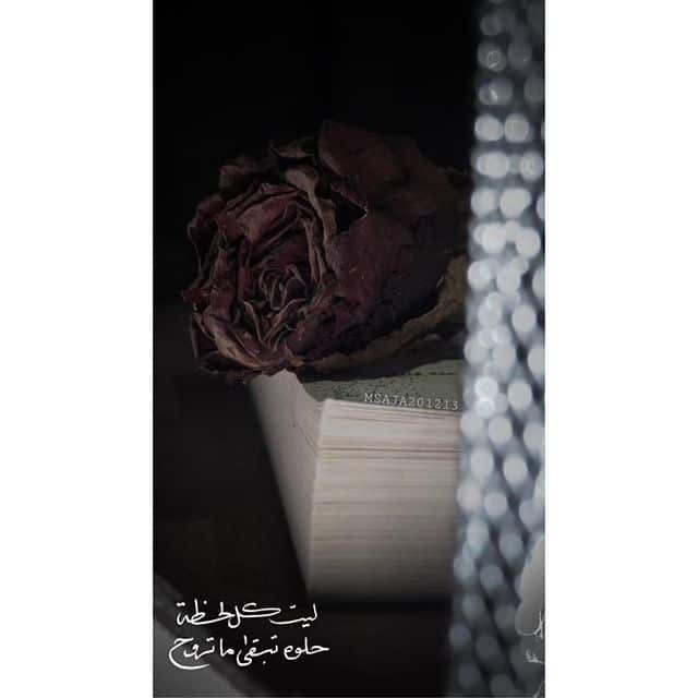 عبارات عن ذبول الورد