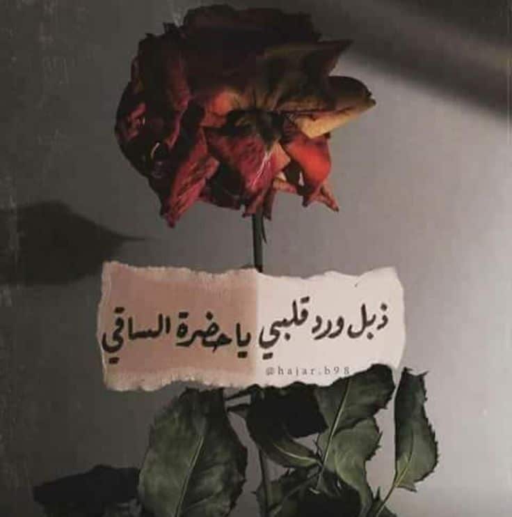 عبارات عن ذبول الورد
