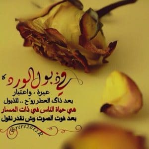 عبارات عن ذبول الورد