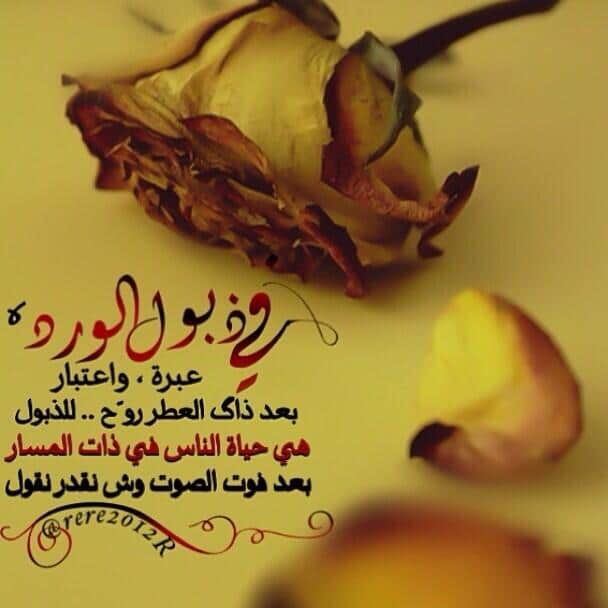 عبارات عن ذبول الورد