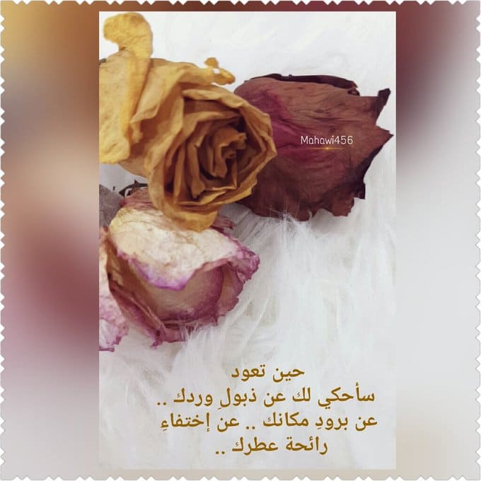 عبارات عن ذبول الورد