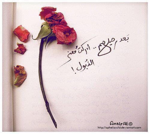 عبارات عن ذبول الورد