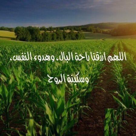 عبارات عن راحة البيت