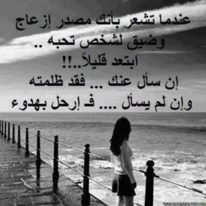 عبارات عن رفض الحب