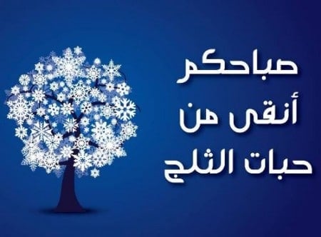 عبارات عن سقوط الثلج