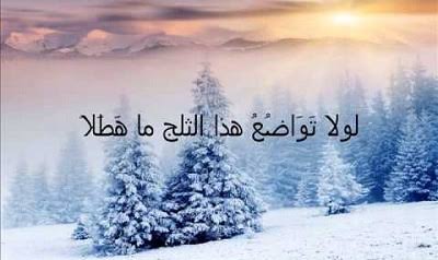 عبارات عن سقوط الثلج