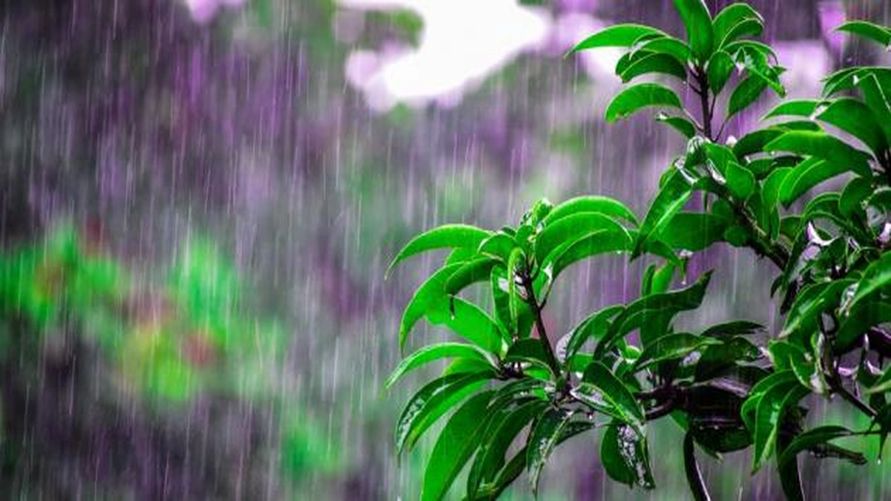 صورة عبارات عن سقوط المطر