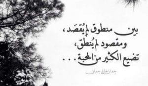 عبارات عن سوء الفهم