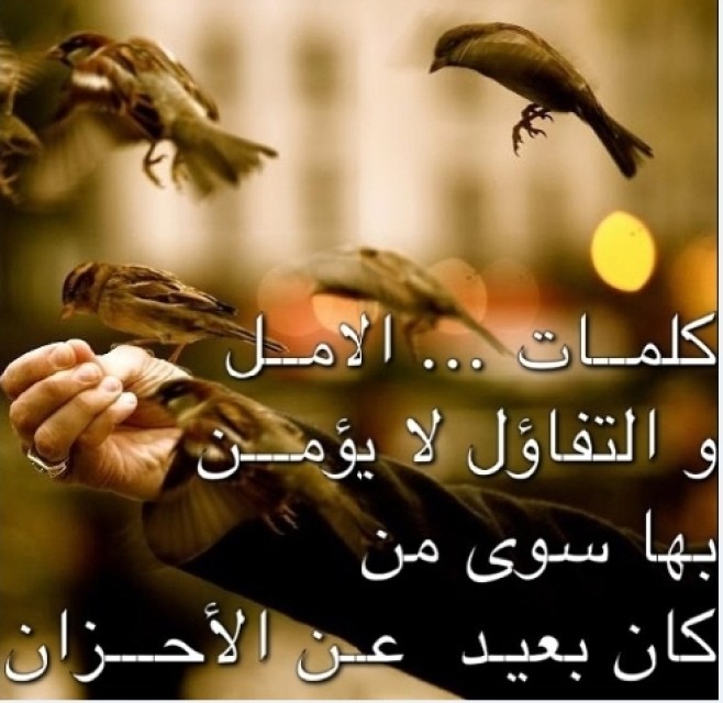 عبارات عن ضياع الحلم