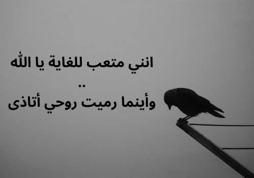 عبارات عن ضياع الحلم