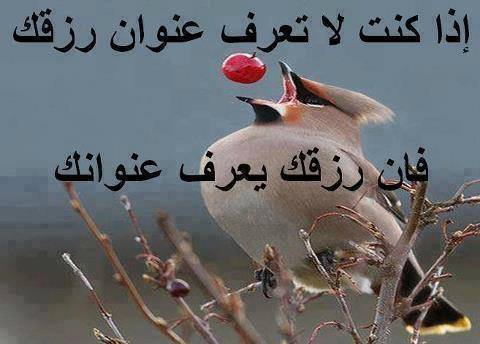 عبارات عن ضيق الرزق