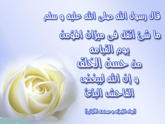 عبارات عن طيب الاخلاق