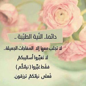 عبارات عن طيب النيه