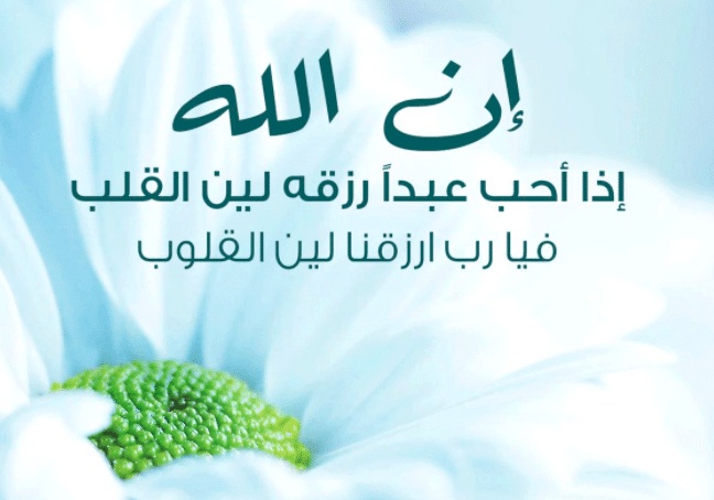 عبارات عن لين القلب