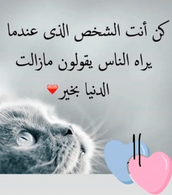 عبارات عن ناس لطيفه