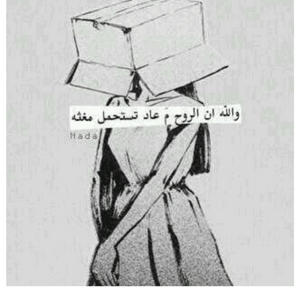 عبارات عن واقع نعيشه