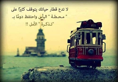 عبارات عن واقع نعيشه