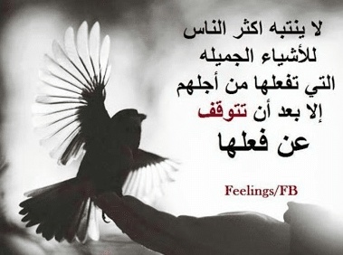 عبارات عن واقع نعيشه