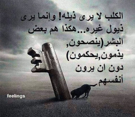 عبارات عن واقع نعيشه