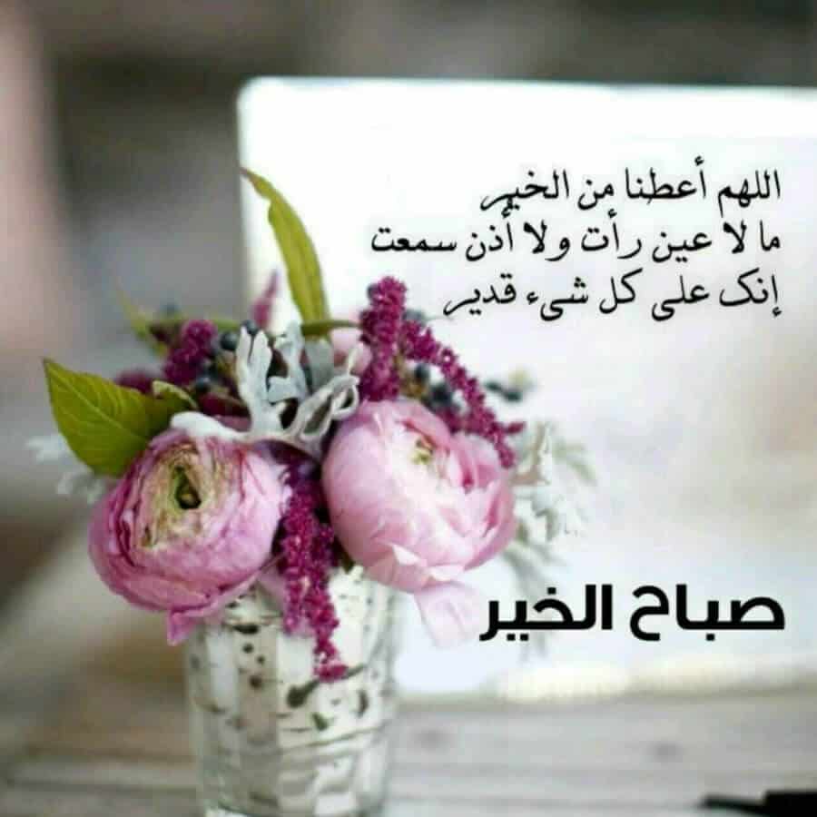 عبارات فيها صباح الخير