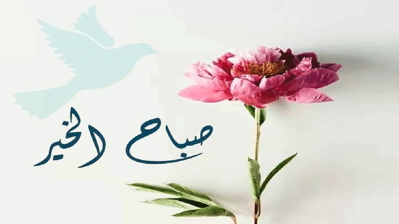 صورة عبارات فيها صباح الخير
