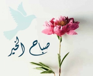 عبارات فيها صباح الخير
