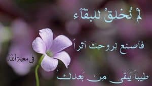 عبارات فيها عبرة