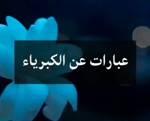 عبارات فيها كبرياء