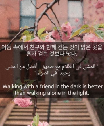 عبارات كورية جميلة