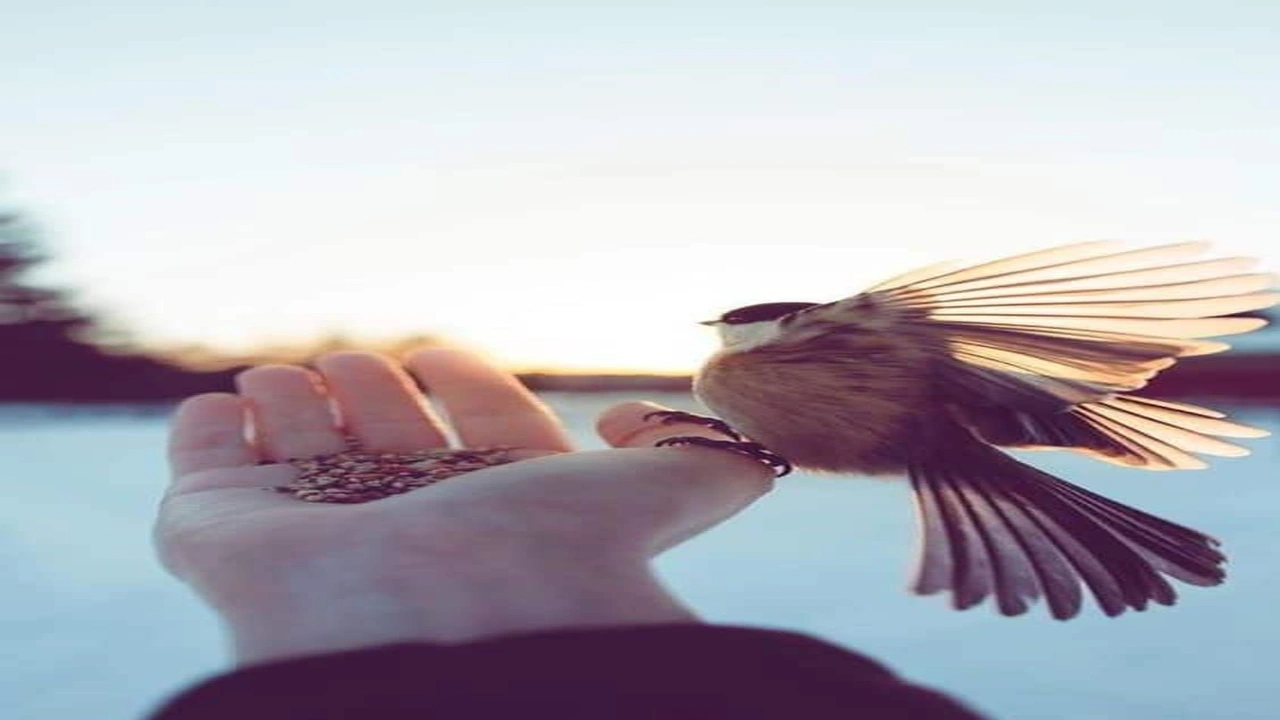 صورة عبارات مدح وثناء