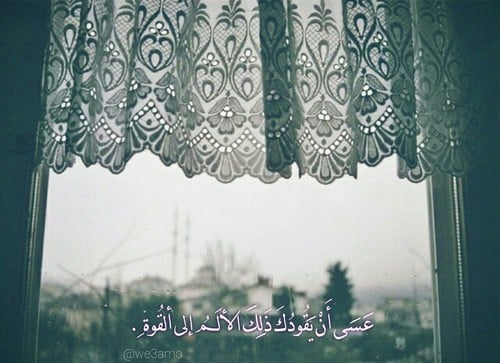 عبارات نشر سناب