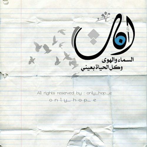 عبارات نشر سناب