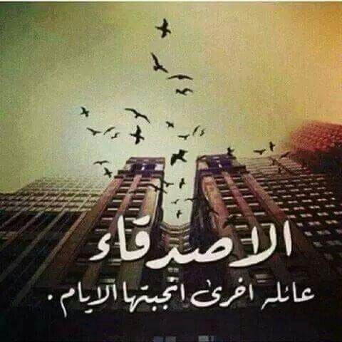 عبارات هبل عن الاصدقاء