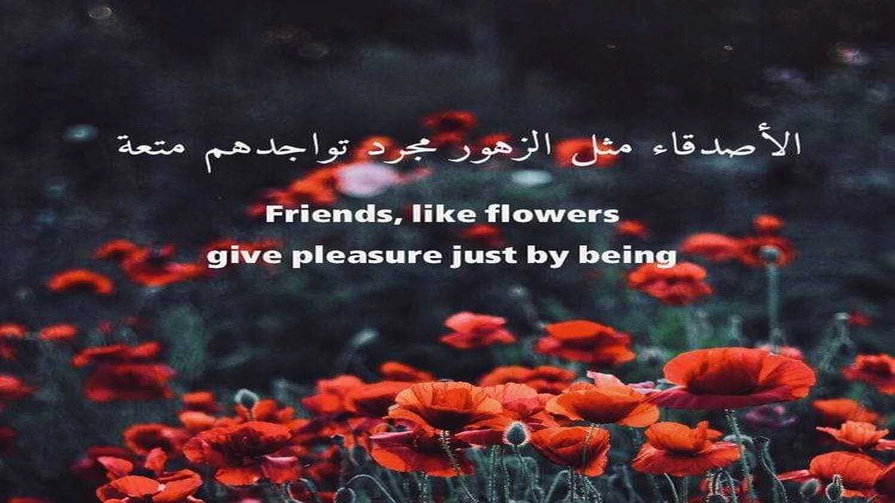 صورة عبارات وجمل بالانجليزي