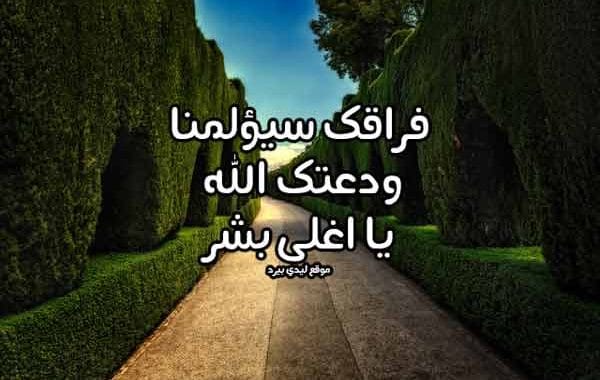 عبارات وداع