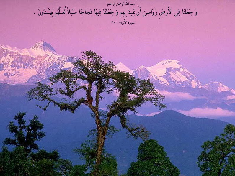 عبارات وصف الطبيعة