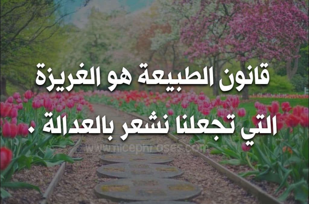 عبارات وصف الطبيعة