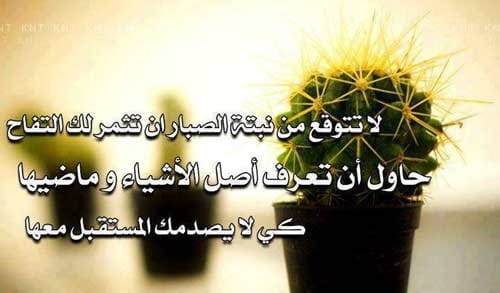 عبارات وصف الطبيعة