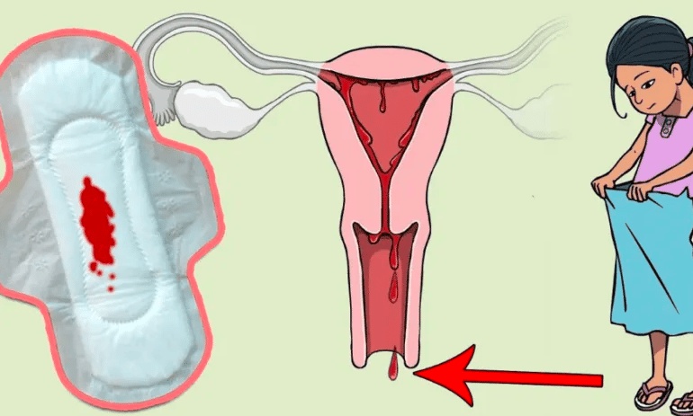 علامات الحمل مع نزول الدورة الشهرية