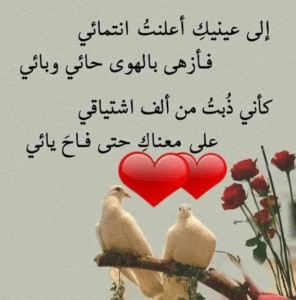 غزل سعودي شعر